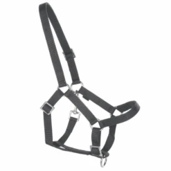 Helga Kreft »Halfter Für Gartenpferde, Schwarz«