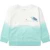 STACCATO Sweatshirt Mint Dip Eye