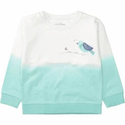 STACCATO Sweatshirt Mint Dip Eye